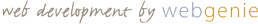 Web Development by Webgenie.ie